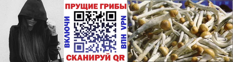 OMG ТОР  Вичуга  Псилоцибиновые грибы GOLDEN TEACHER 